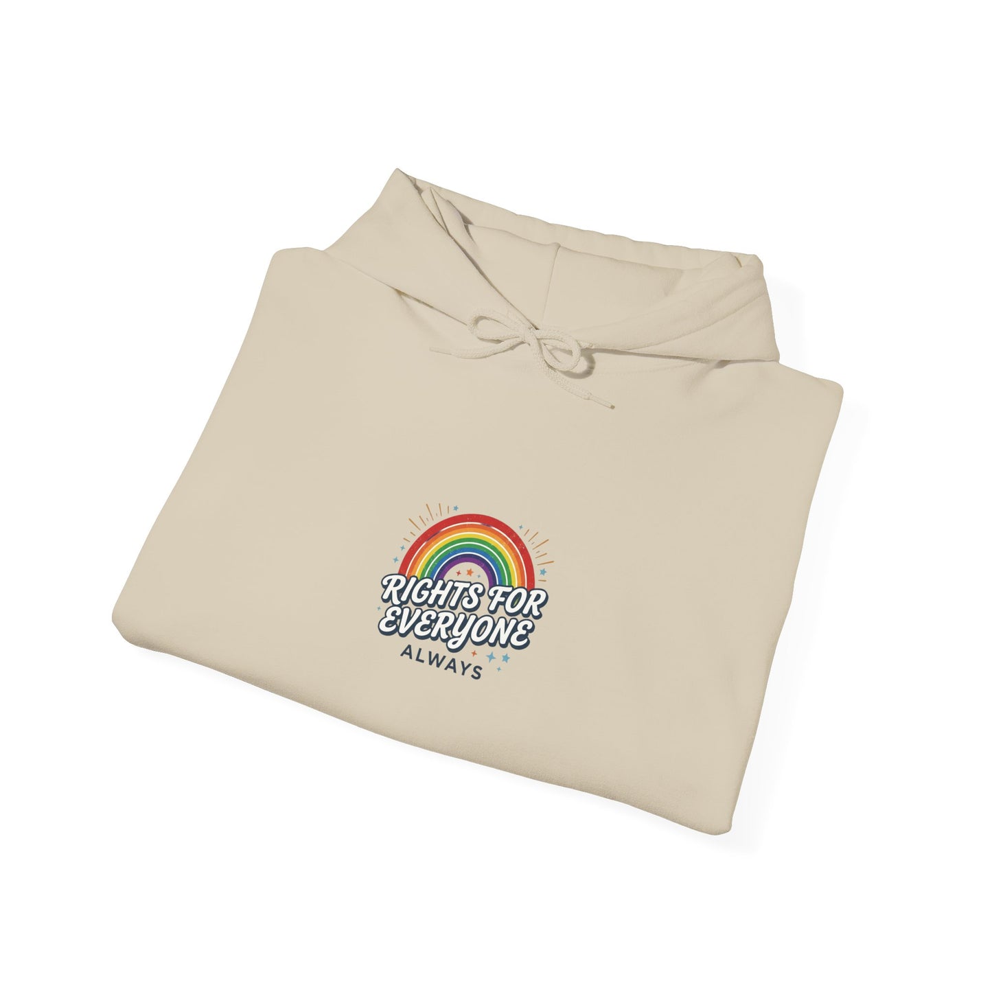 Stand Up for Democracy Hoodie | Civic Courage, Participation