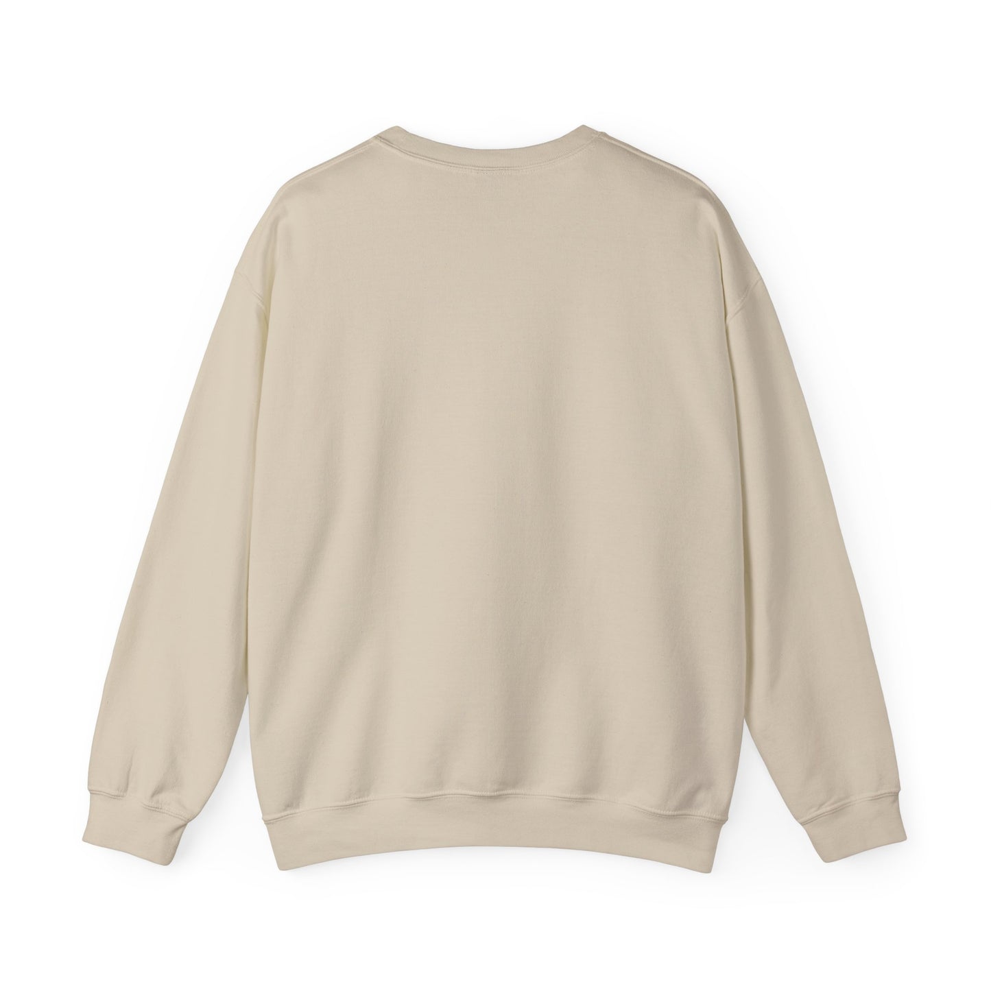 Minimalist Triangle Logo Sweatshirt — 'We Are The Problem' Chest Patch