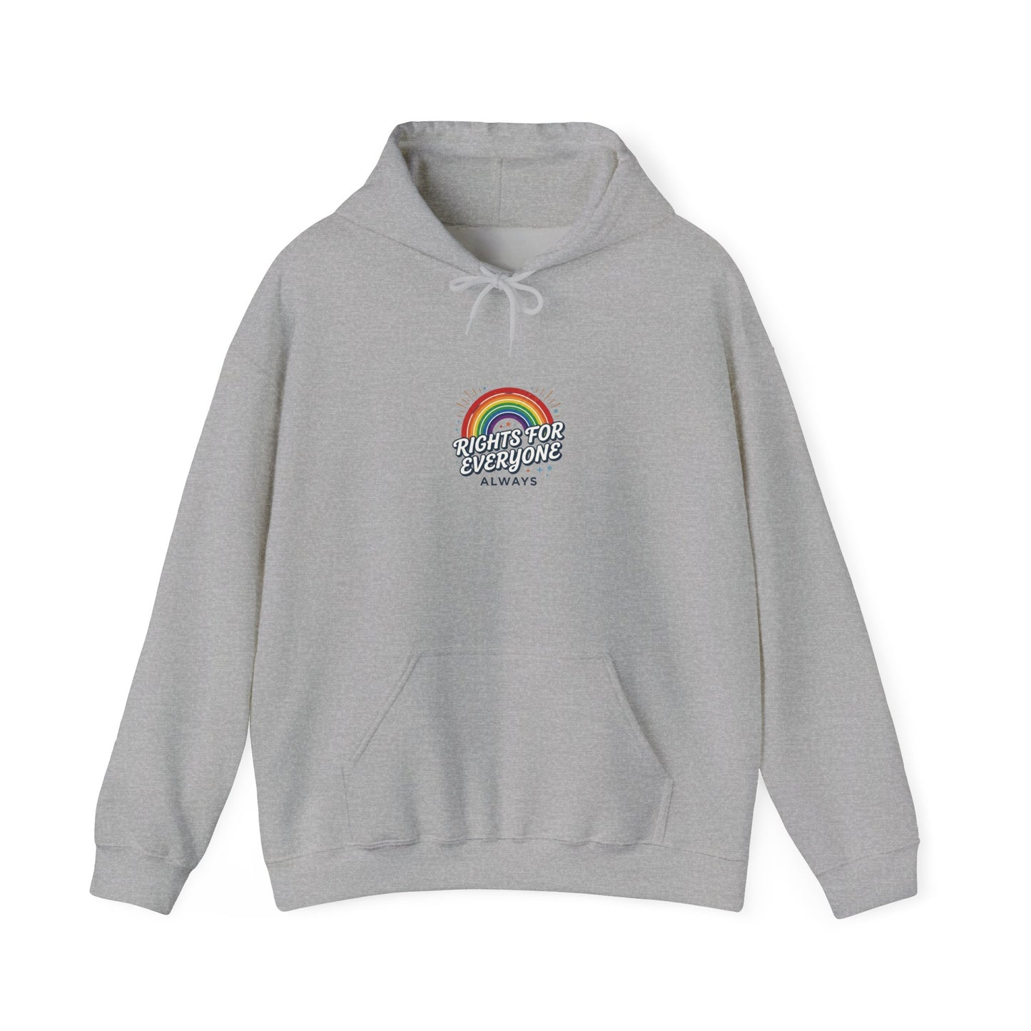 Stand Up for Democracy Hoodie | Civic Courage, Participation
