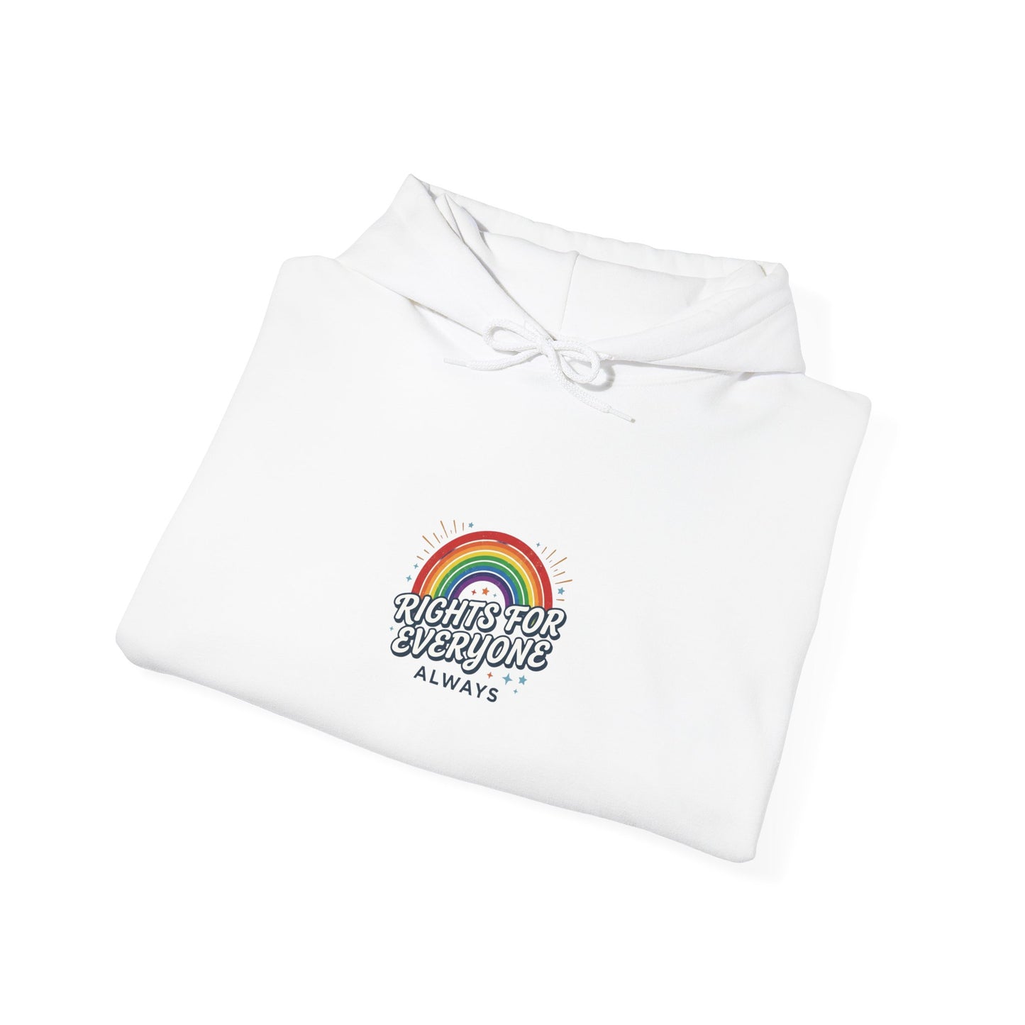 Stand Up for Democracy Hoodie | Civic Courage, Participation