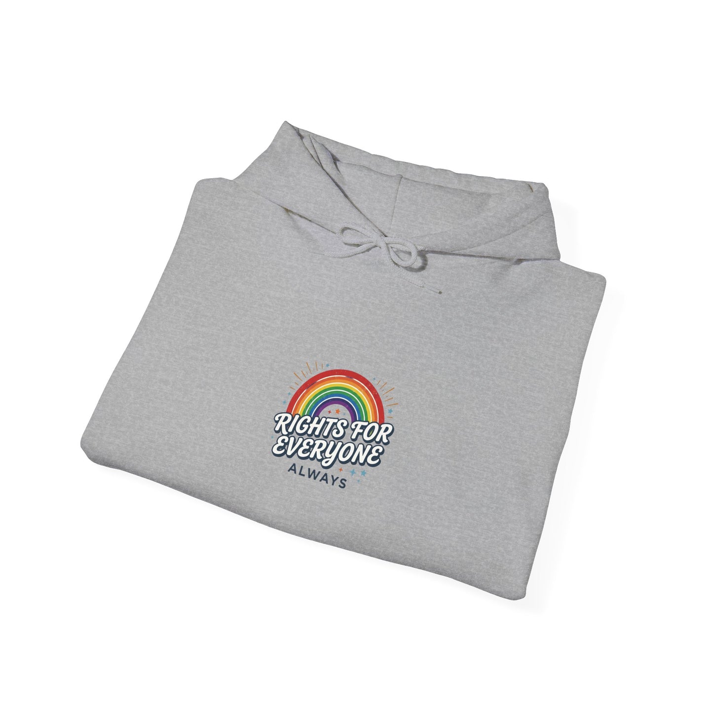 Stand Up for Democracy Hoodie | Civic Courage, Participation