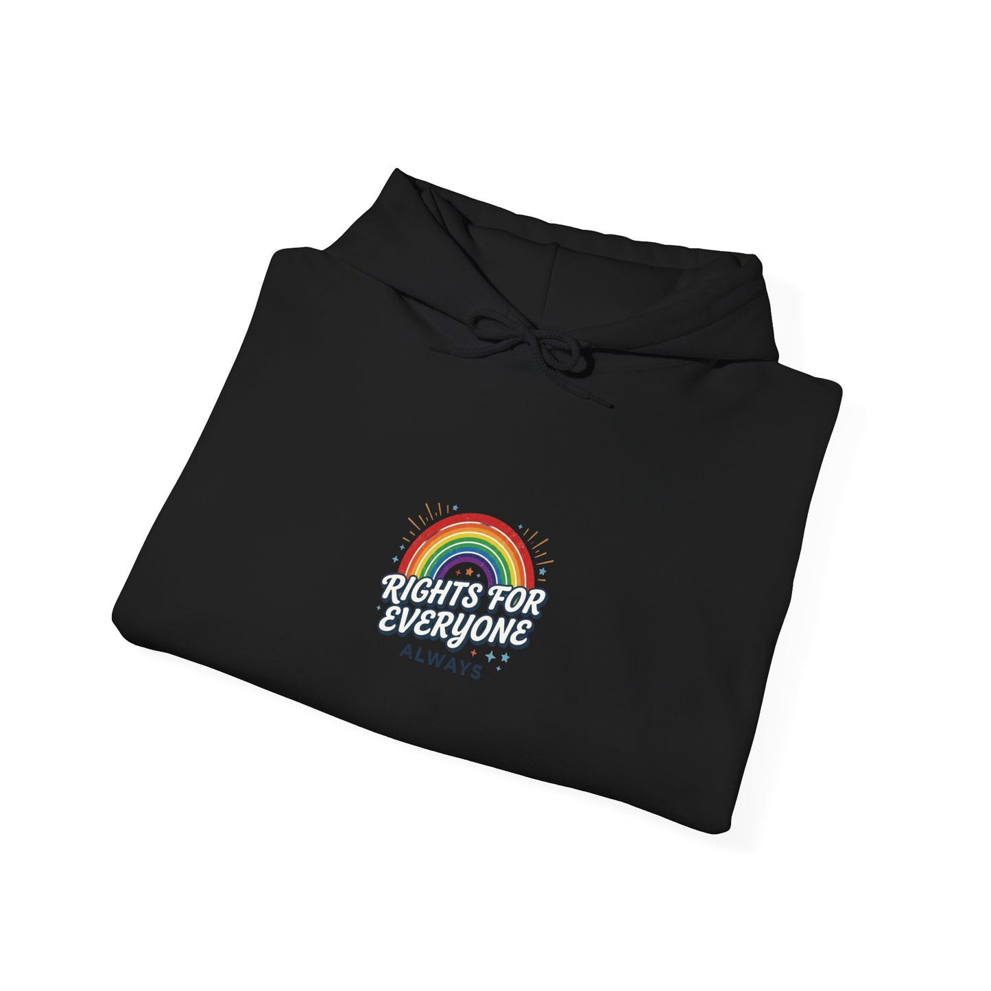 Stand Up for Democracy Hoodie | Civic Courage, Participation