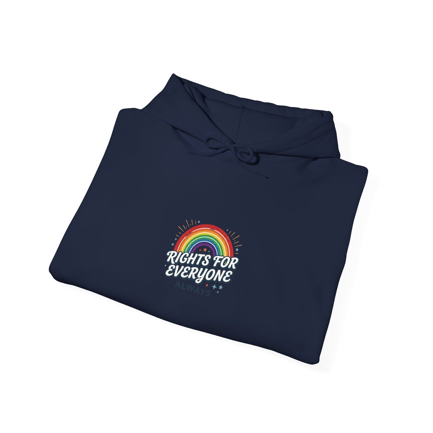 Stand Up for Democracy Hoodie | Civic Courage, Participation
